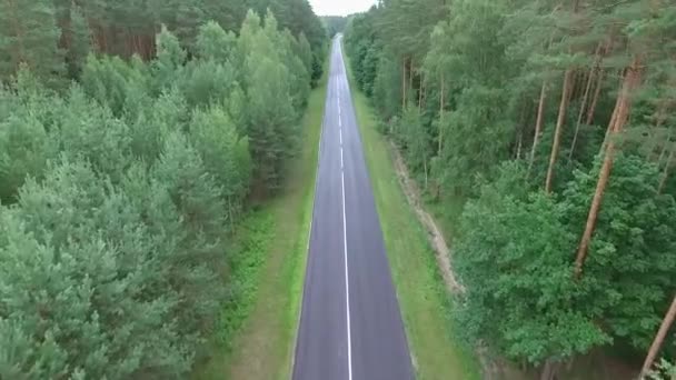 Aerial Top View Car Driving Country Road Forest Evening Twilight — Stock Video