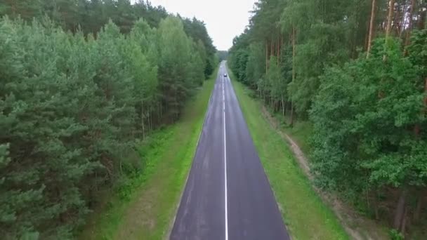Aerial Top View Car Driving Country Road Forest Evening Twilight — Stock Video