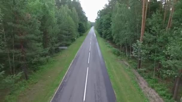 Aerial Top View Car Overtakes Another Car Driving Road Forest — Stock Video