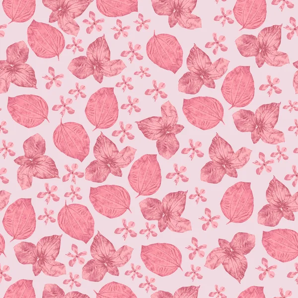 Floral Seamless Pattern Pressed Dry Flowers — Stock Photo, Image