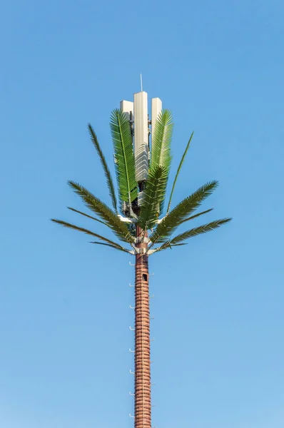 Gsm Palm Tree Antenna — Stock Photo, Image