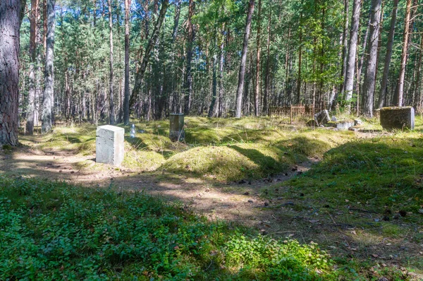 Gamla Evangelikal Kyrkogården Łeba Poland — Stockfoto