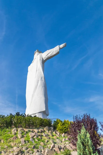 Swiebodzin Польща Серпня 2018 Пагорб Статуя Христа Царя — стокове фото