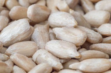 Yakın çekim için soyulmuş ayçiçeği tohumu.