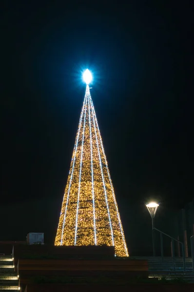 Árvore Natal Luz Enorme Centro Cidade Gdansk Noite — Fotografia de Stock