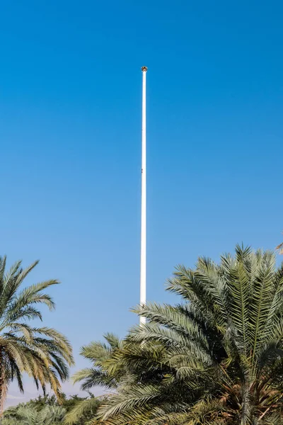 Asta Bandera Aqaba Sobre Las Palmas Aqaba Jordania — Foto de Stock
