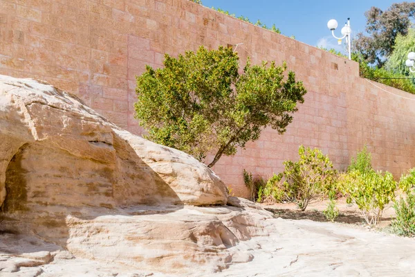 ヨルダンのペトラの古代都市の遺跡でツリー — ストック写真