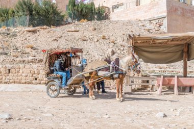Geleneksel bir atlı araç antik kent Petra, Jordan.
