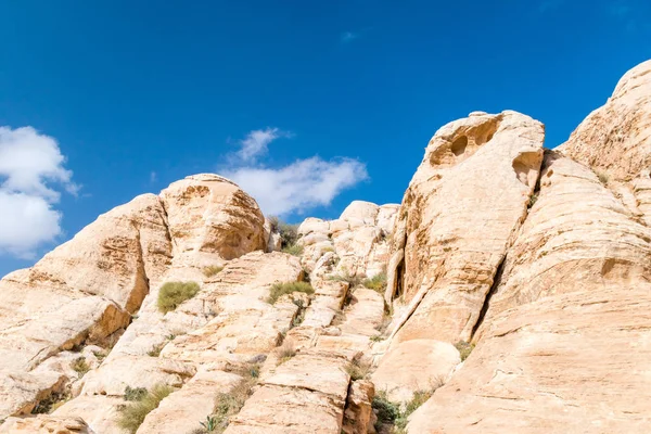 Stenen Van Oude Stad Petra Jordanië Petra Een Van Nieuwe — Stockfoto