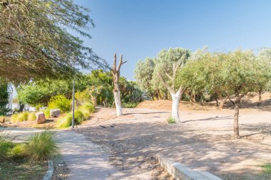 Eilat, İsrail için Gan Binyamin Central Park'ta ağaçlar.