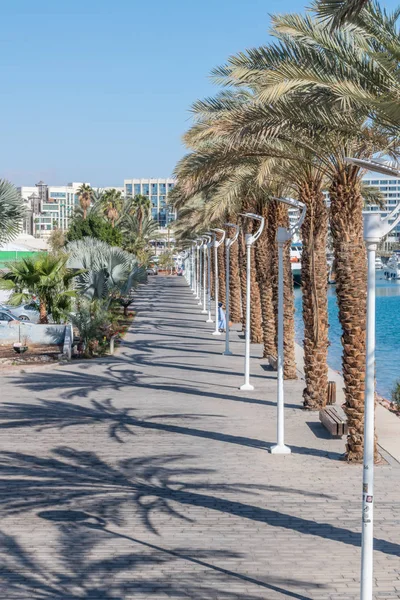 View of HaMayim with palms from Moshe Kol Memorial Bridge. — Stock Photo, Image