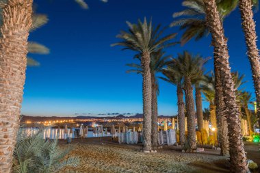 Eilat tatil alacakaranlıkta palmiye ağaçları ile plaj görünümünü.