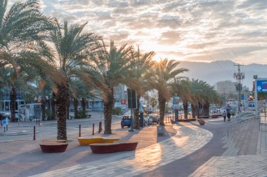 Eilat palmiye ağaçlarında manzaralı güzel gündoğumu.