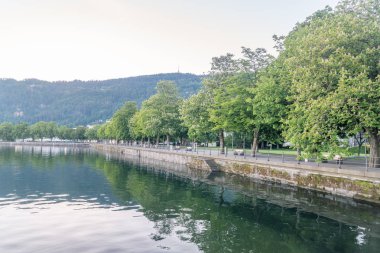 Bregenz, Avusturya'daki Obersee Gölü'ndeki (Konstanz Gölü) ağaçlarla bulvarın sabah görünümü.
