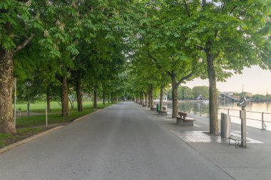 Obersee gölü (Konstanz Gölü) bregenz, Avusturya ağaçlar arasında bulvarda gün doğumu.