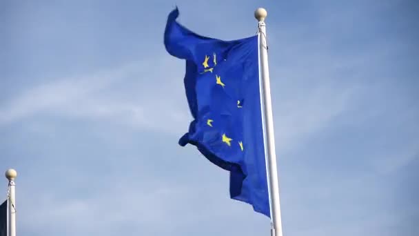 ヨーロッパの旗やヨーロッパの旗を振って 旗に12の黄金の星 2つの別々の国際機関 欧州評議会 Coe と欧州連合の公式シンボル — ストック動画