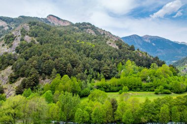 Andorra'da ağaçlarla dağlar manzarası.