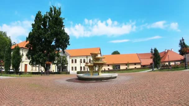 Plein Met Waterfontein Wieliczka Polen — Stockvideo