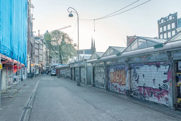 Amsterdams blomstermarknad. — Stockfoto