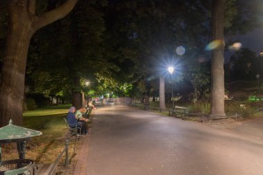 Geceleri Bitki Parkı 'nda ağaçların altındaki banklarla yürüyoruz..