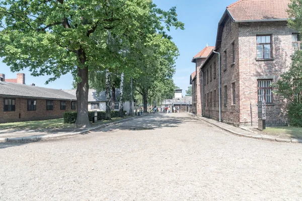 Zicht op de weg in voormalig Duits nazi concentratie- en vernietigingskamp. — Stockfoto