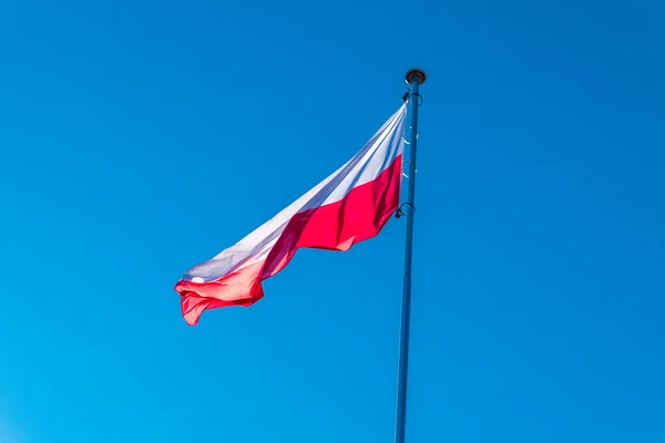 Zászló Poland Lengyel Zászló Polski — Stock Fotó