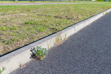 Yoldaki kaldırımda yetişen bitkiler.