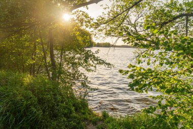 Polonya 'nın Olsztyn kentindeki Ukiel Gölü' ndeki ağaçların arasından gün batımı manzarası.