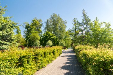Polonya 'nın Mragowo kentindeki Havacılık Parkı' nda Görünüm.