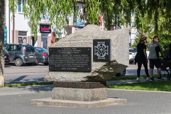 Wyszkow Polônia Junho 2020 Monumento Memória Jerzy Rytel Professor Scoutmaster — Fotografia de Stock