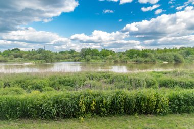 Yazın, Böcek nehrinin güzel manzara manzarası.