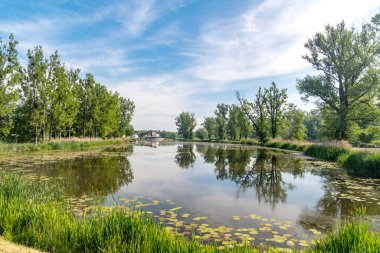 Stezyca 'daki Oxbow nehri..
