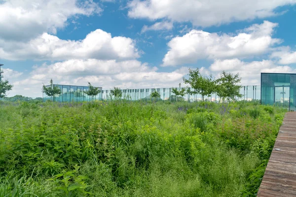 Lublino Polonia Giugno 2020 Terrazze Panoramiche Sul Centro Incontro Delle — Foto Stock