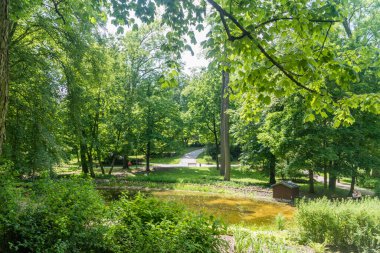 Lublin 'deki Saxon Garden' da göletli yaz manzarası.