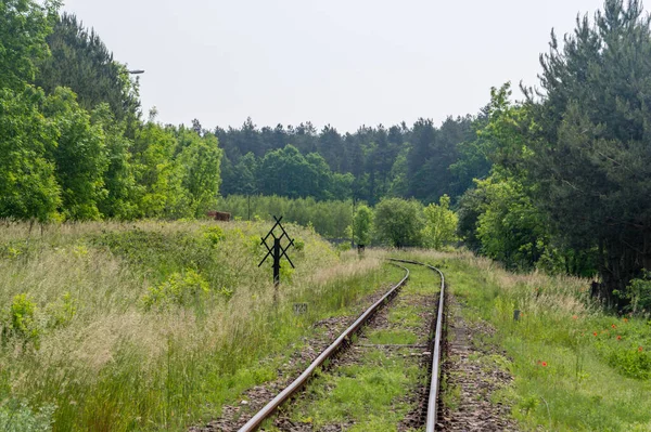폴란드 2020 수용소 근처의 철도선로 — 스톡 사진