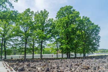 Belzec, Polonya - 12 Haziran 2020: Belzec imha kampı anıtı. SS 'ler tarafından dikilen anıt mezar ağaçları kaldırıldı ve sadece soykırıma tanık olan meşeler kaldı..