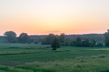 Tarlada manzara ve günbatımında ağaçlar.