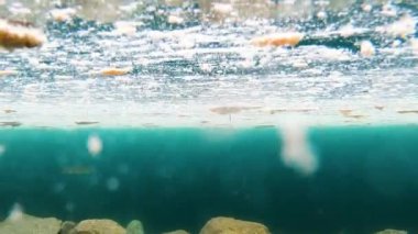 Morskie Oko Gölü 'nde balıklarla birlikte sualtına bak.