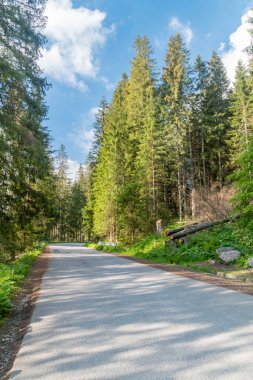 Polonya, Zakopane yakınlarındaki Tatra Dağları 'ndaki Morskie Oko Gölü' ne giden yol..