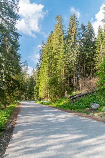 Polonya, Zakopane yakınlarındaki Tatra Dağları 'ndaki Morskie Oko Gölü' ne giden yol..