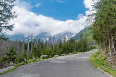 Tatra Ulusal Parkı 'ndaki Tatra Dağları Yolu.