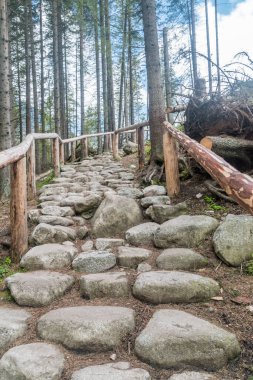 Rocky merdivenleri Tatra Ulusal Parkı yolunda..
