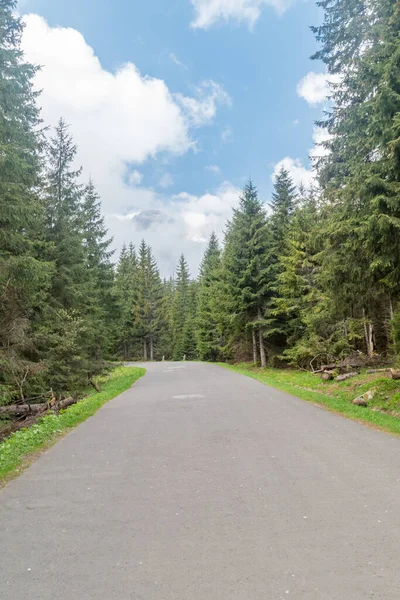 Tatra Ulusal Parkı 'ndaki Tatra Dağları' nın güzel manzara manzarası.