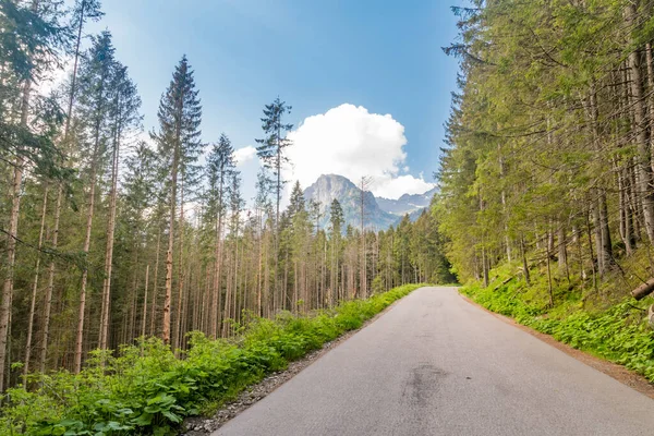 Road to the Morskie Oko, or Eye of the Sea lake in Zakopane, Poland.