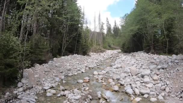 Vue Ruisseau Waksmundzki Dans Parc National Des Tatra — Video