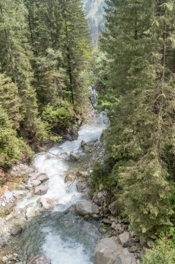 Tatra Ulusal Parkı 'nda Roztoka deresi.