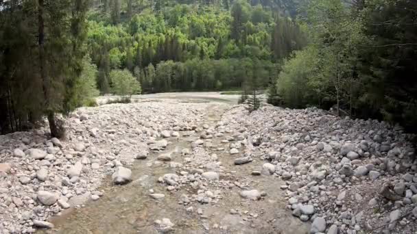 Ruisseau Waksmundzki Dans Parc National Des Tatra Pologne — Video