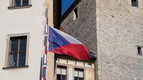 Flaga Republiki Czeskiej Machająca Wietrze — Wideo stockowe
