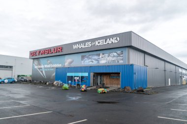 Reykjavik, İzlanda - 20 Haziran 2020: İzlanda Balinaları.