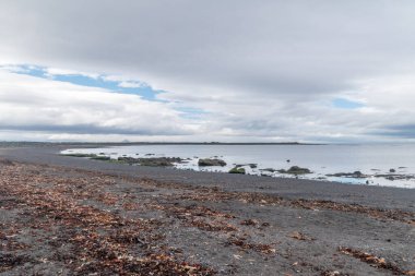 Bulutlu bir günde İzlanda 'da Seltjorn sahilinde..